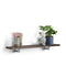 Pre-elsket Rackbuddy Lille John Ragal - (15 cm dybde)